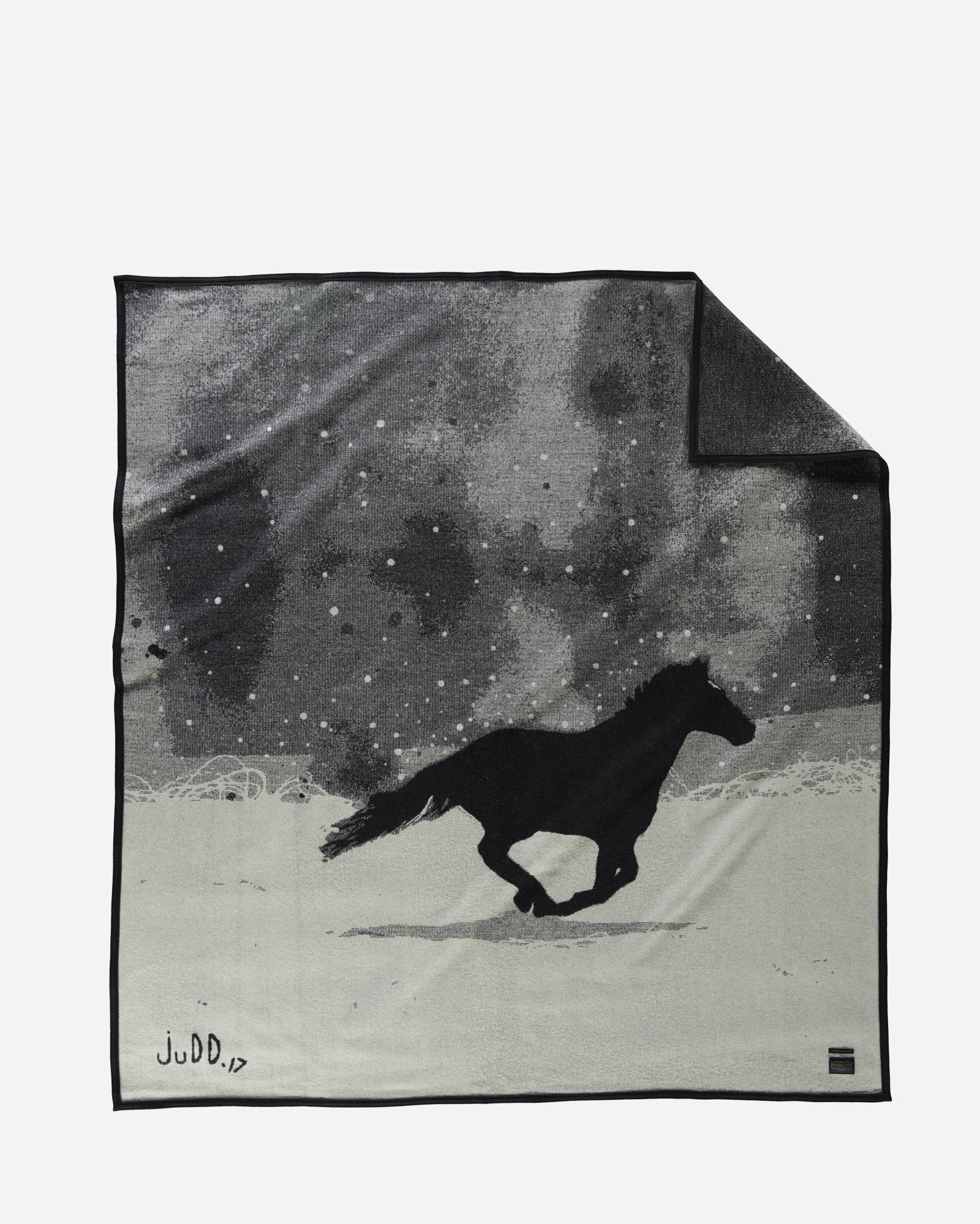 A Horse Called Paint Artist Series Blanket