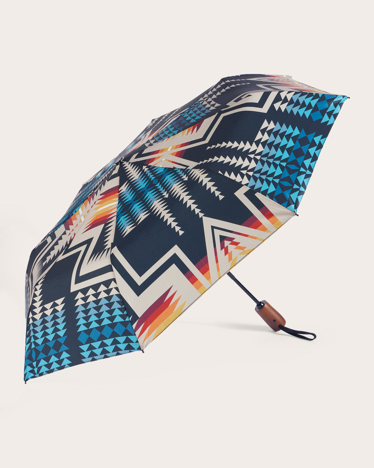 Pendleton Umbrella in Harding Black/Bright